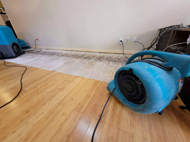 Professional Water Damage Repair technician working in Breinigsville, PA